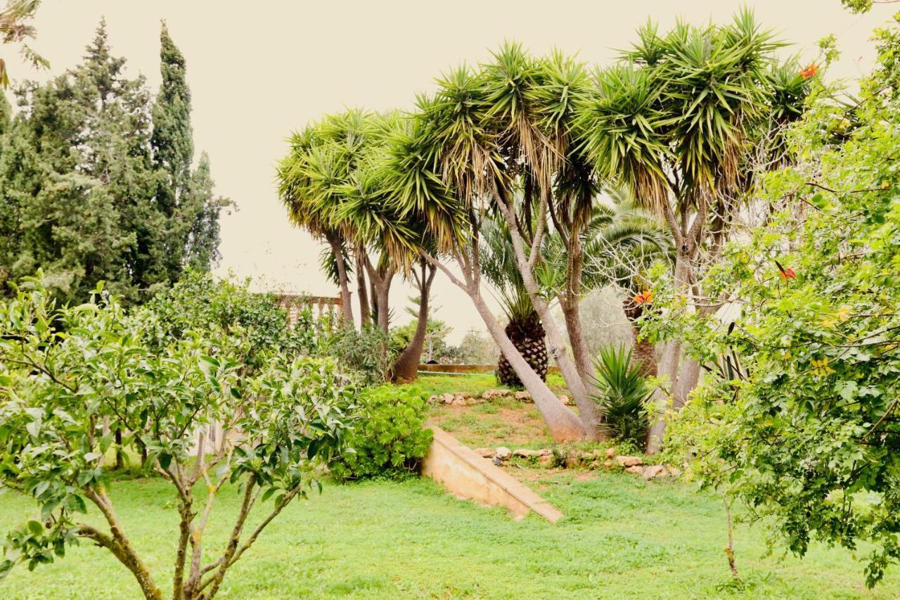 Finca Randa, Llucmayor, Bis 3 Sz, Pool, Garten Льюкмайор Экстерьер фото